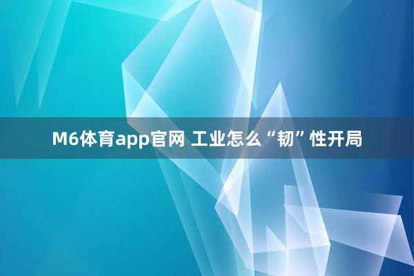 M6体育app官网 工业怎么“韧”性开局