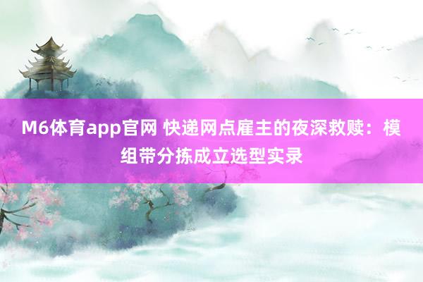 M6体育app官网 快递网点雇主的夜深救赎：模组带分拣成立选型实录