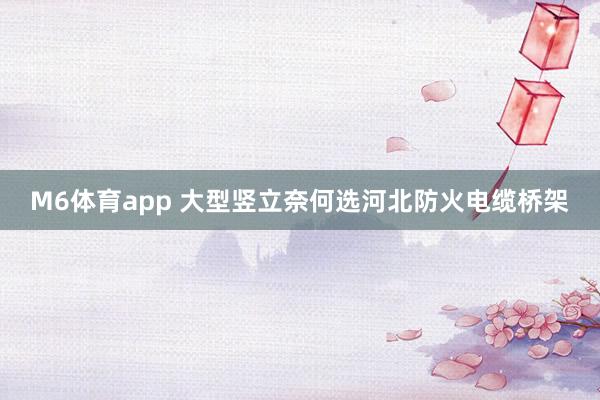 M6体育app 大型竖立奈何选河北防火电缆桥架