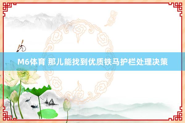M6体育 那儿能找到优质铁马护栏处理决策