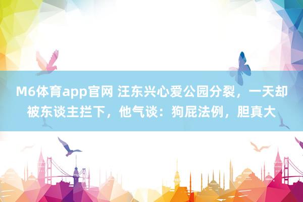 M6体育app官网 汪东兴心爱公园分裂，一天却被东谈主拦下，他气谈：狗屁法例，胆真大