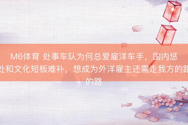 M6体育 处事车队为何总爱雇洋车手，国内惩处和文化短板难补，想成为外洋雇主还需走我方的路