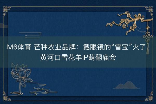 M6体育 芒种农业品牌：戴眼镜的“雪宝”火了！黄河口雪花羊IP萌翻庙会