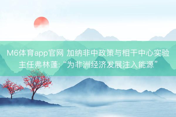 M6体育app官网 加纳非中政策与相干中心实验主任弗林蓬: “为非洲经济发展注入能源”